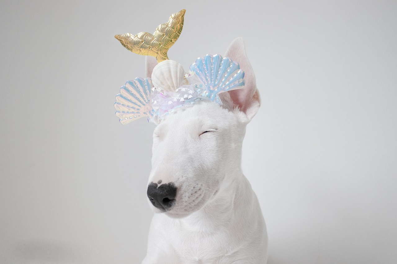 Understanding the Traits of Bull Terriers